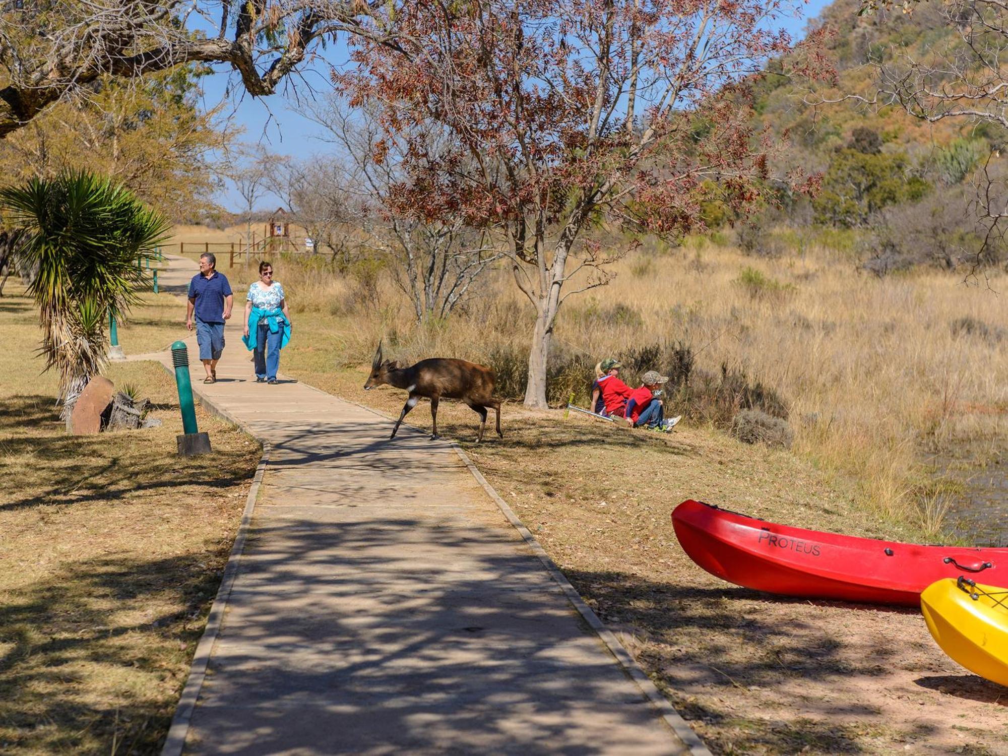 Waterberg Game Park Villa Mokopane Dış mekan fotoğraf